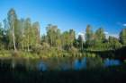 v3134altai_small.jpg