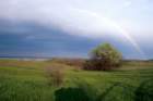 v0206regenbogendon_small.jpg
