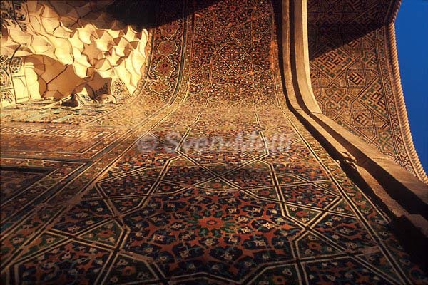 v1631sam.jpg